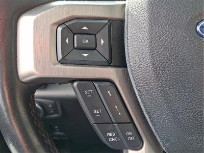 2021 Ford Super Duty F-250 Platinum