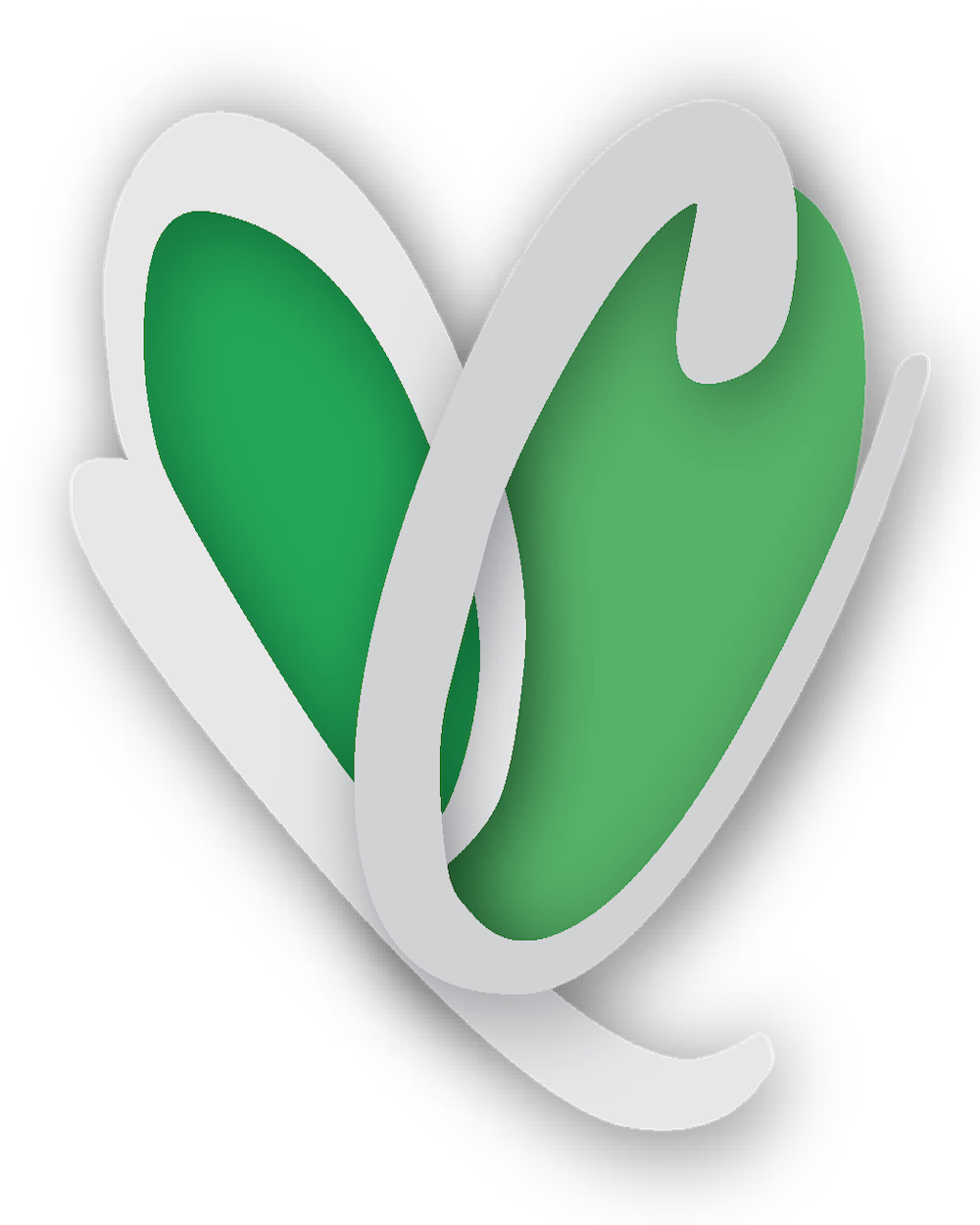 Preston Cares community event