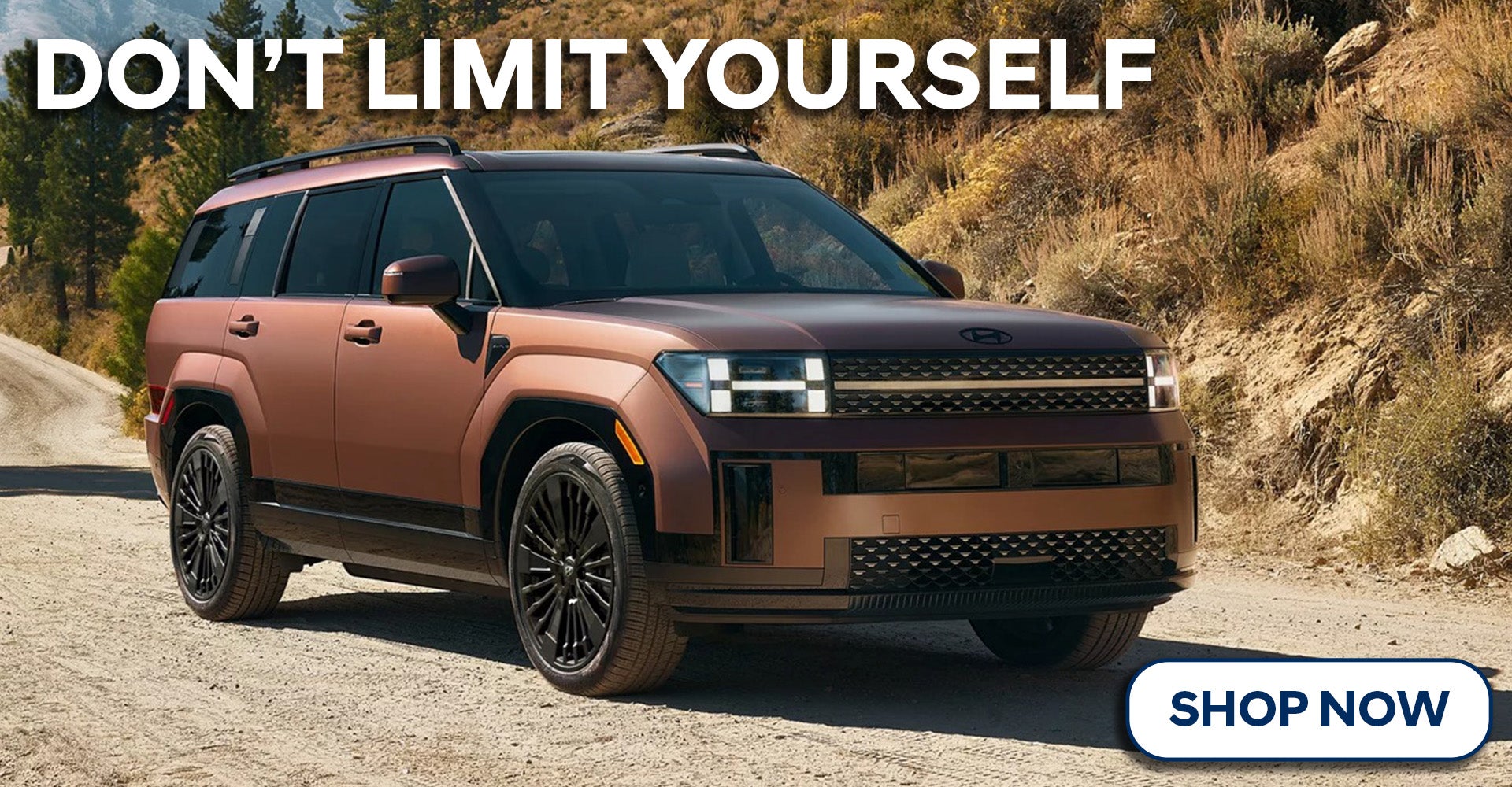 2025 Hyundai Santa Fe Hybrid Millsboro DE