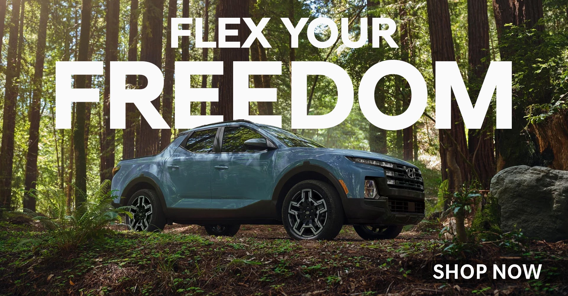 2025 Hyundai Santa Cruz Easton MD